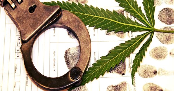 Tres de Febrero: la Policía detuvo a joven usuario de cannabis medicinal 