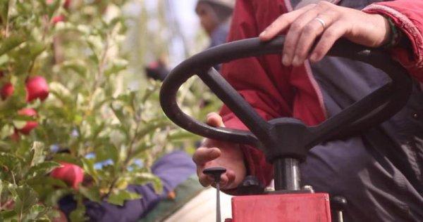 Río Negro: en las chacras trabajo semiesclavo y en los frigoríficos trabajo insalubre