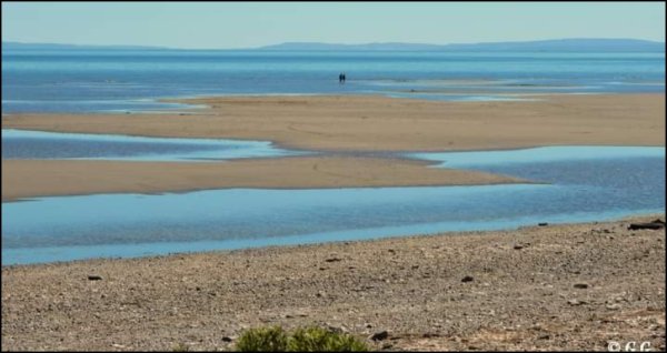 Se profundiza la bajante del Lago Muster al sur de Chubut