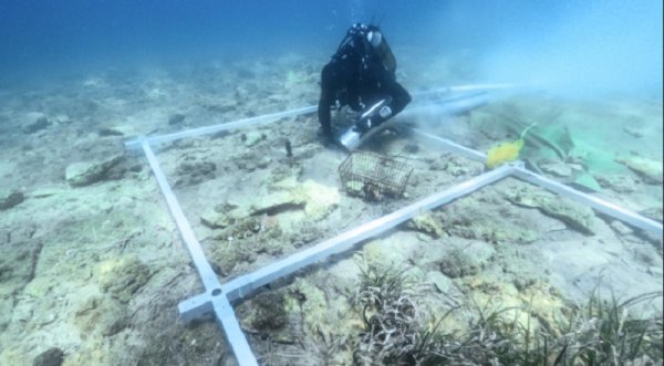 Arqueólogos descubren asentamiento isleño de 6.000 años frente a la costa de Croacia