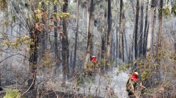 Incendio en Otuquis: nuestros bosques vuelven a arder