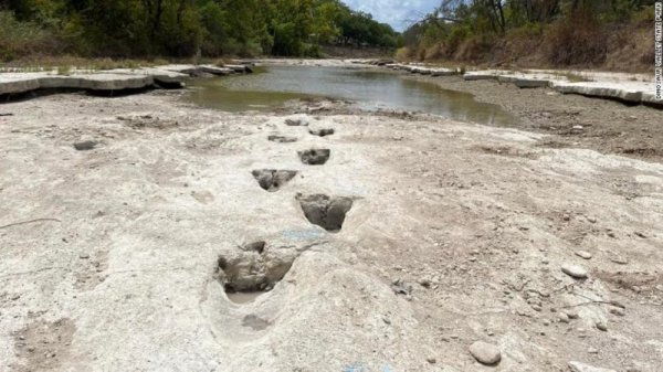 La sequía en Texas deja al descubierto huellas de dinosaurios de hace 113 millones de años