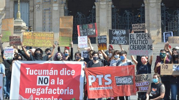 Tucumán salió a las calles para decirle no a las megagranjas porcinas