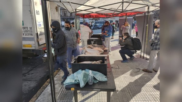 Pescadazo frente al Congreso: feria de cooperativas en crisis por la bajante del río Paraná 