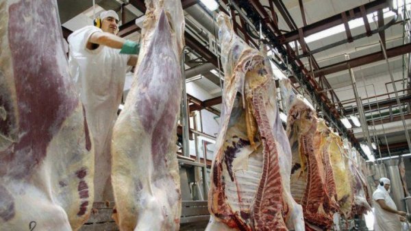 Restricciones a la exportación de carne: ¿solo cuestión de precios?