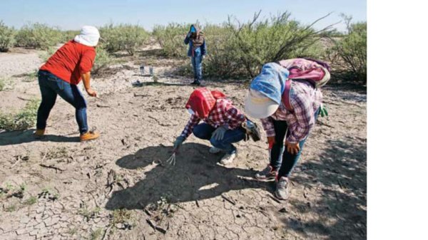 Cuatro mil restos óseos más en Coahuila, denuncian familiares de desaparecidos