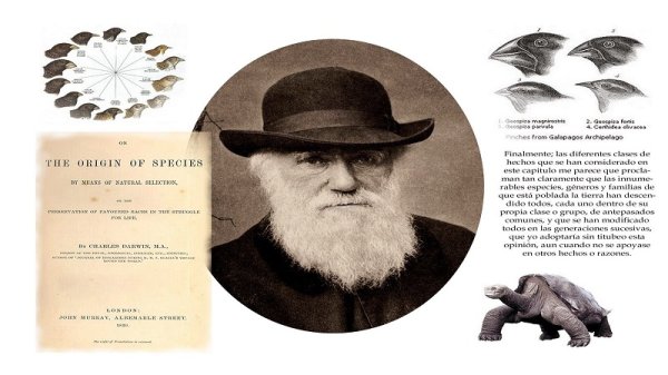 Cuando Darwin escribió El origen de las especies