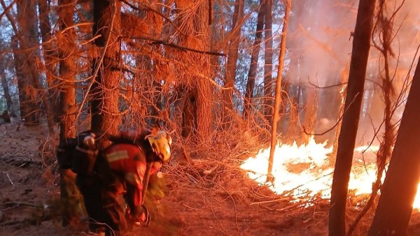 Odio, discriminación y criminalización: la “fórmula” de Torres, Bullrich y Milei para los incendios 