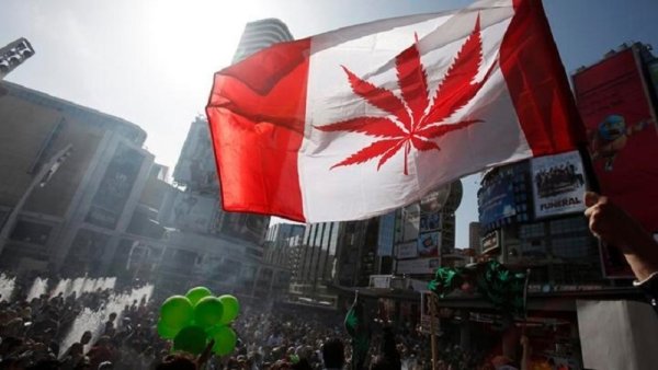 Canadá se prepara para legalizar la marihuana