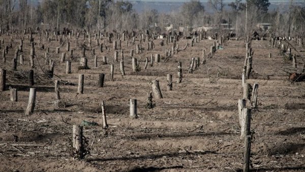 Río Negro: un “toxi tour” de fracking petrolero por Allen 