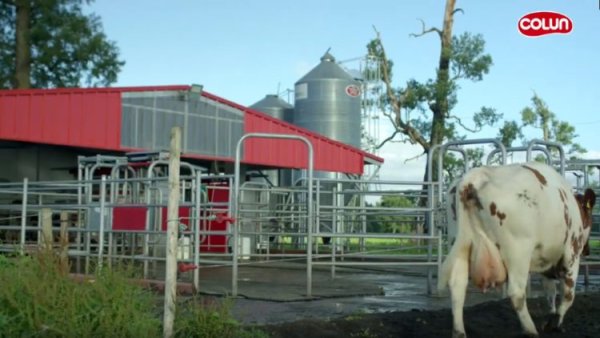 El escándalo de la leche: Un problema entre empresarios