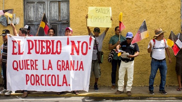 Denuncia: Gobernador Vila toma partido por granja porcícola