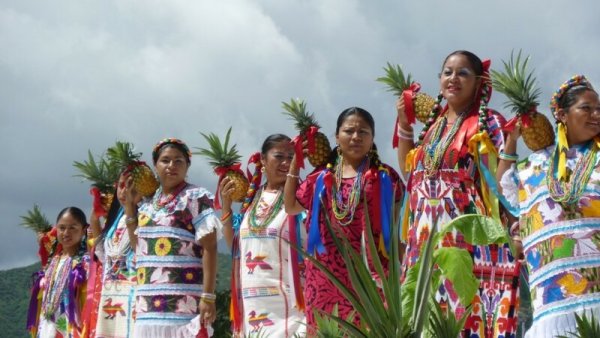  ¿Dos Guelaguetzas?: Una historia de rebelión y resistencia