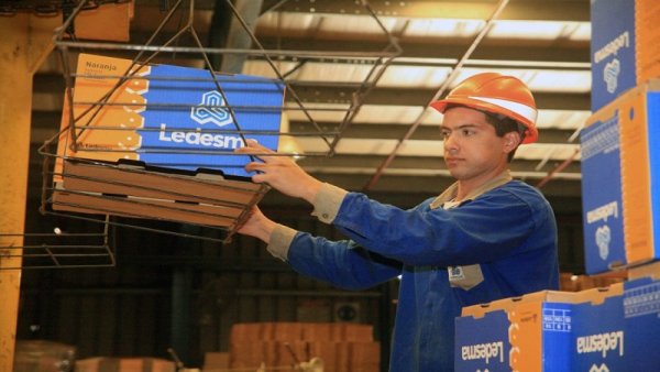 Ledesma persigue a delegado por comer una naranja