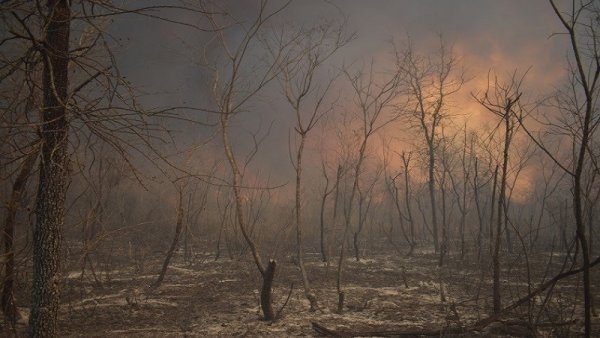 Un pedido de ayuda del Gobierno Autónomo de Charagua Iyambae