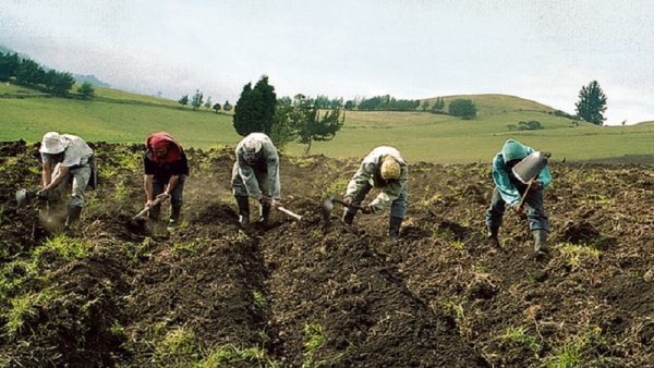 Antes de ser disuelto, el Congreso peruano favoreció a los agroindustriales