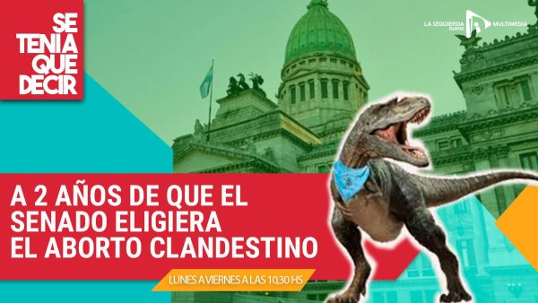 A dos años del rechazo del Senado: ¿qué dejó la fuerza de la marea verde en Argentina?