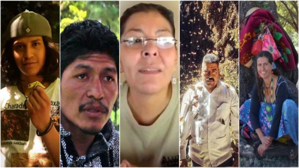 Con 25 asesinatos de ambientalistas AMLO llama "Pseudoecologistas" a opositores de megaproyectos