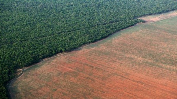 Empresarios brasileños quieren el Ministerio de Medio Ambiente en manos de militares y agroindustriales