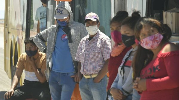 Desesperación y maltrato a trabajadores golondrina en Mendoza