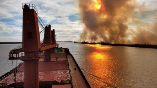 Delta del Paraná en PBA: se decretó la emergencia ambiental solo por 180 días 