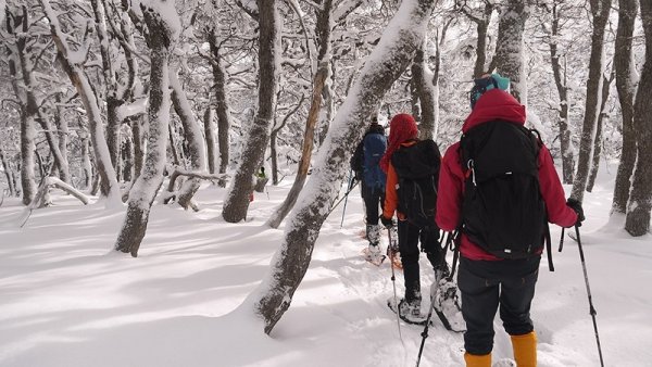 Se autorizará el turismo grupal en vacaciones de invierno: los negocios primero