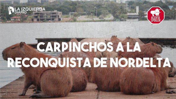 Carpinchos a la reconquista de Nordelta