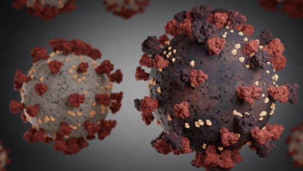 Coronavirus: nueva mutación detectada en Sudáfrica podría contagiar más y evadir vacunas