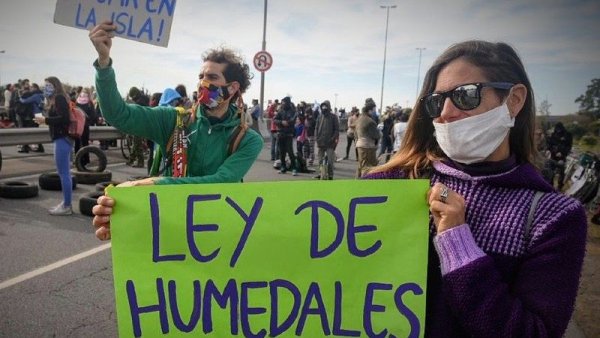 Día mundial de los humedales: ¿Qué son y por qué es urgente una ley de protección? 