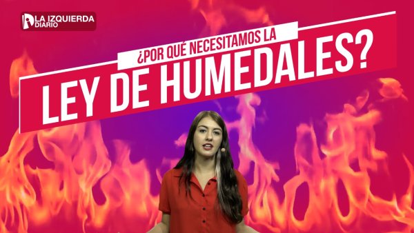 #CorrientesEnLlamas: ¿Por qué es urgente la Ley de Humedales?