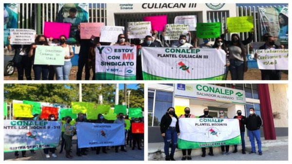 Sinaloa: Conalep priva de salario y seguridad social a cientos de profesores