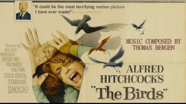 Se cumplen 60 años de "Los Pájaros", una de las películas icónicas de Hitchcock