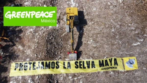 Greenpeace busca montarse en la lucha contra el Tren "Maya"