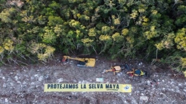 Juzgado aprueba demanda colectiva contra empresas que construyen el Tren Maya