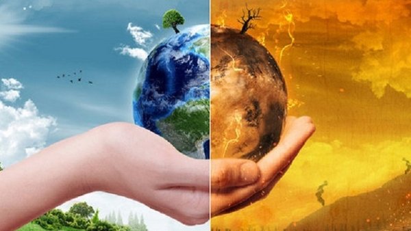 Día Mundial del Medio Ambiente: el planeta está en peligro 