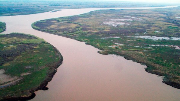 Para el Gobierno “no es alarmante” la contaminación con glifosato del río Paraná