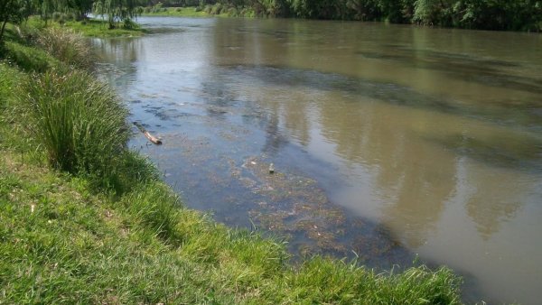 Contaminación del Río Ctalamochita: Entrevistamos al Director de Ambiente (Parte 1)