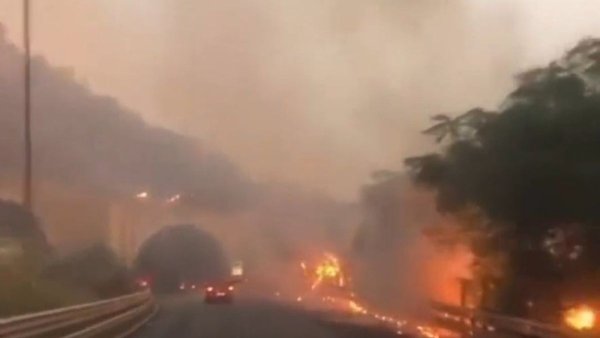 De Argelia a Grecia los incendios mortales continúan asolando la cuenca del Mediterráneo