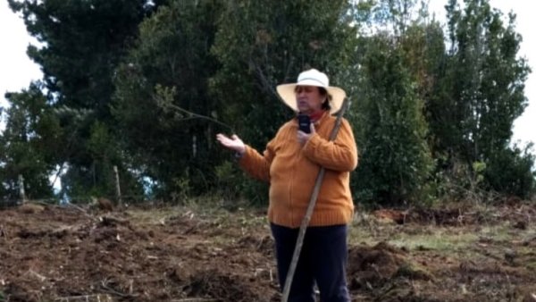 Mujer mapuche de 70 años es detenida y acusada por empresas forestales de asociación ilícita, hurto de madera y amenazas