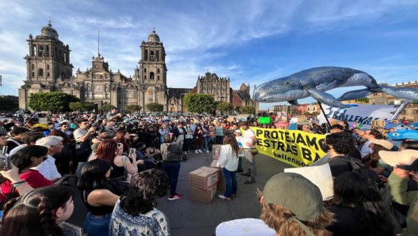 Ballenafest: juventudes protestan contra el Proyecto Saguaro