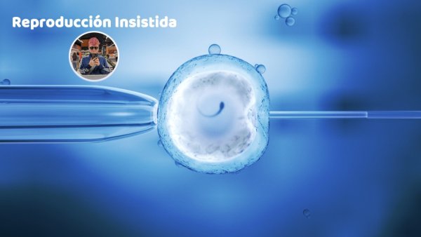 PODCAST | Reproducción Insistida: lesbofobia y machismo en la fecundación in vitro