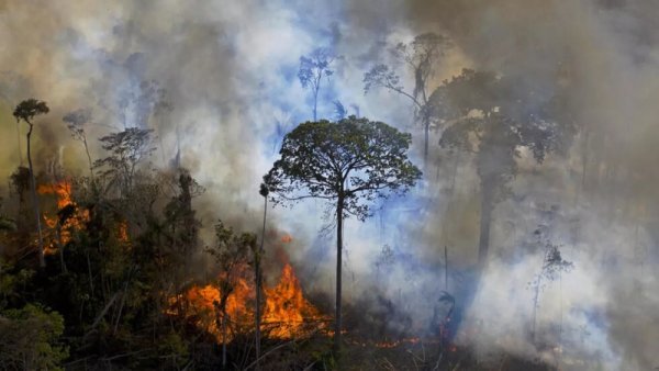 Brasil entre llamas y humo tóxico: el agronegocio y el Estado son responsables