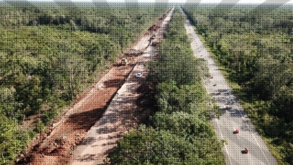  Grupo México demanda al gobierno tras su salida del Tren Maya