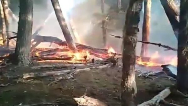 Tierra del Fuego. Incendio en el corazón de la isla