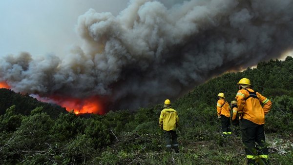 Continúa avanzando el incendio en Parque Nacional Nahuel Huapi mientras despiden brigadistas 