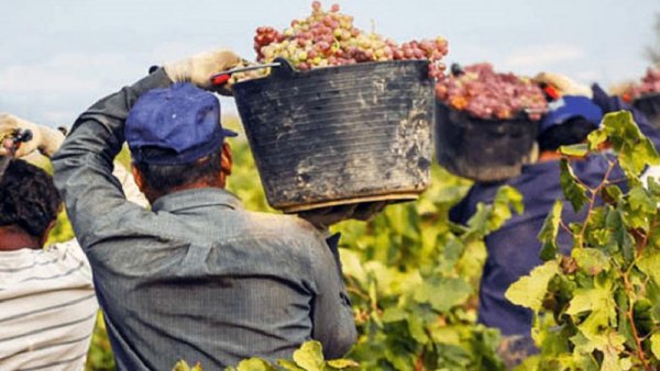 “Un platal”: Siempre es mucho lo que exigen los trabajadores para los dueños de todo…