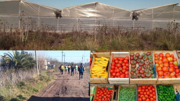  Evacuan a vecinos del barrio El Toboso por intoxicación con agrotóxicos