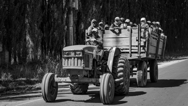 Trabajadores golondrina en Río Negro exigen volver a sus hogares y que se les paguen sus salarios