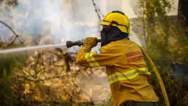 Brigadistas al límite: precarización y recursos en llamas