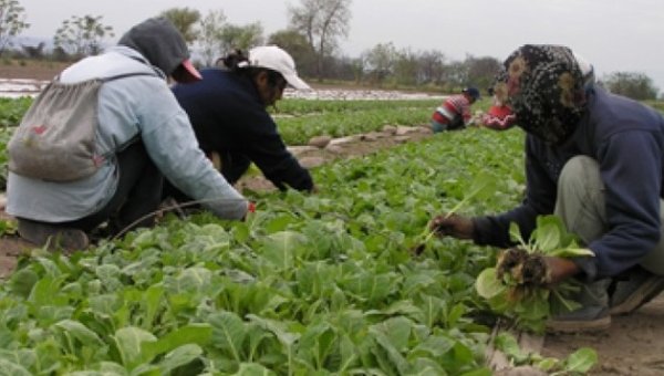  Bono de fin de año: más de 10 mil trabajadores del tabaco no lo cobrarían 